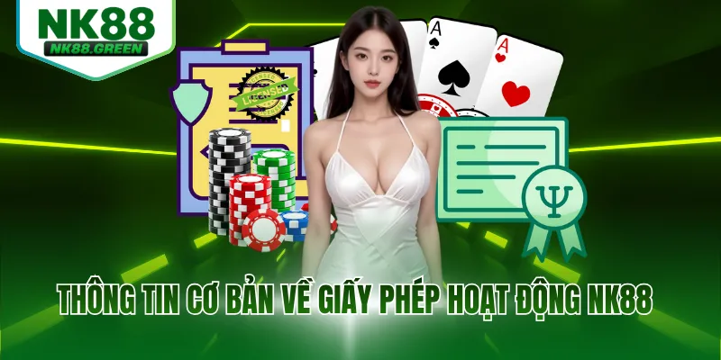 Thông tin cơ bản về giấy phép hoạt động NK88